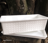 POTS & PLANTERS: Window Box Planter (Various Colours) for sale | Buy carnivorous plants and seeds online @ South Africa's leading online plant nursery, Cultivo Carnivores