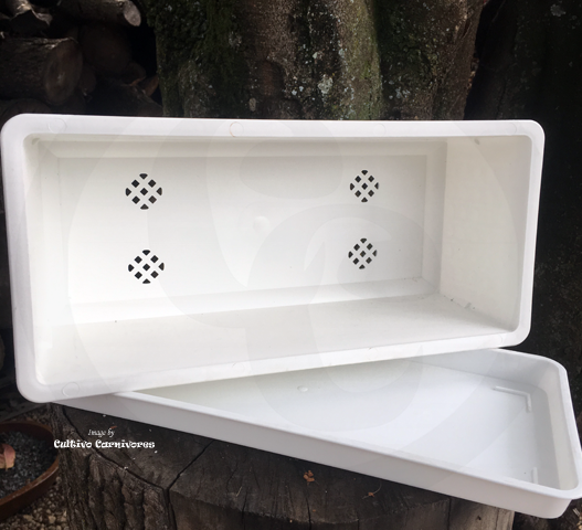 POTS & PLANTERS: Window Box Planter (Various Colours) for sale | Buy carnivorous plants and seeds online @ South Africa's leading online plant nursery, Cultivo Carnivores