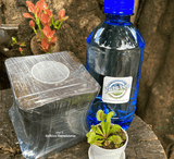 The COMPLETE repotting kit for carnivorous plants > Bug-munching mini's @ Cultivo Carnivores South Africa South Africa's leading online plant nursery, Cultivo Carnivores