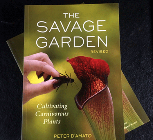 BOOKS & LITERATURE: The Savage Garden by Peter D'Amato for sale | Buy carnivorous plants and seeds online @ South Africa's leading online plant nursery, Cultivo Carnivores