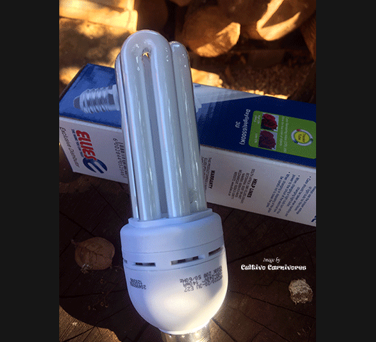 PLANT LIGHTING:  20w Compact Fluorescent Light (6500k Daylight) for sale | Buy carnivorous plants and seeds online @ South Africa's leading online plant nursery, Cultivo Carnivores