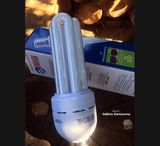 PLANT LIGHTING:  20w Compact Fluorescent Light (6500k Daylight) for sale | Buy carnivorous plants and seeds online @ South Africa's leading online plant nursery, Cultivo Carnivores