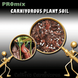 PRE-MIXED GROWING MEDIA:  PROmix for Tropical Pitcher Plants (Nepenthes) * Coco peat for sale | Buy carnivorous plants and seeds online @ South Africa's leading online plant nursery, Cultivo Carnivores