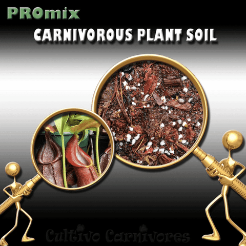 PRE-MIXED GROWING MEDIA:  PROmix for Tropical Pitcher Plants (Nepenthes) * Coco peat for sale | Buy carnivorous plants and seeds online @ South Africa's leading online plant nursery, Cultivo Carnivores