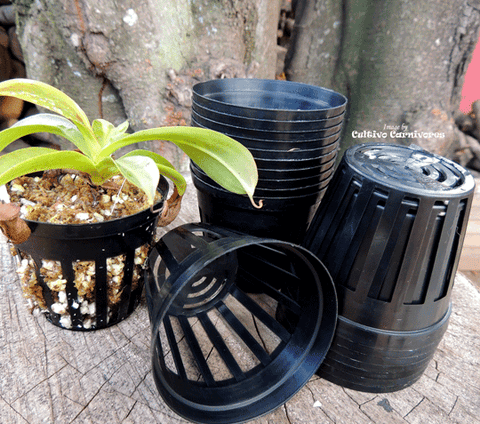 POTS & PLANTERS: Net Pots (Various Sizes) for sale | Buy carnivorous plants and seeds online @ South Africa's leading online plant nursery, Cultivo Carnivores