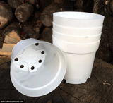 POTS & PLANTERS: Shrub Pots (Various Sizes and Colours) for sale | Buy carnivorous plants and seeds online @ South Africa's leading online plant nursery, Cultivo Carnivores