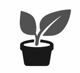 SERVICES:  Custom Containers & Repotting service for sale | Buy carnivorous plants and seeds online @ South Africa's leading online plant nursery, Cultivo Carnivores