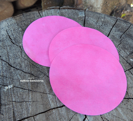GROWING SUPPLIES: Smoke Primer Discs * Smoke Paper Discs * Seed Primer for sale | Buy carnivorous plants and seeds online @ South Africa's leading online plant nursery, Cultivo Carnivores